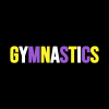 Gymnastics Nonbinary Flag Colors Pin Official Gymnastics Gifts Store Merch