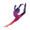 Leap Silhouette Pin Official Gymnastics Gifts Store Merch