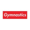 G Y M N A S T I C S Pin Official Gymnastics Gifts Store Merch