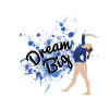 Dream Big Pin Official Gymnastics Gifts Store Merch