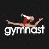 Gymnast Pin Official Gymnastics Gifts Store Merch