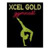 xcel gold gymnastics poster re9958d53914a437eb677c41cd199557f ilb27 1000 - Gymnastics Gifts